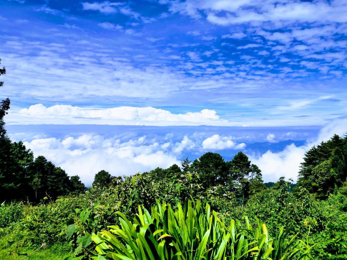 El Pital Ecolodge San Ignacio Экстерьер фото