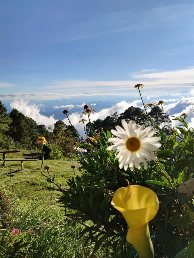 El Pital Ecolodge San Ignacio Экстерьер фото
