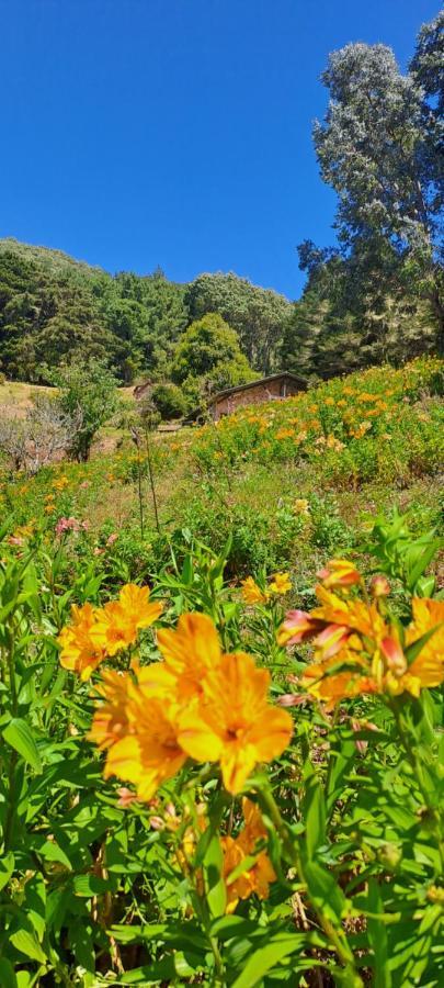 El Pital Ecolodge San Ignacio Экстерьер фото