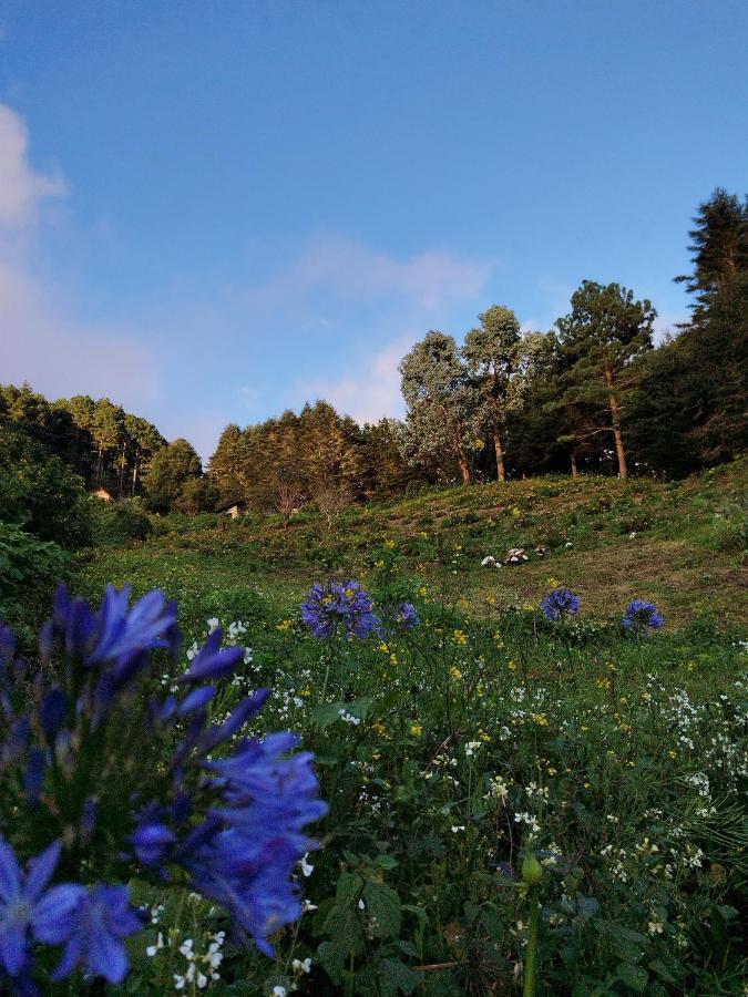 El Pital Ecolodge San Ignacio Экстерьер фото
